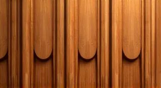 The House of Echoes: Acoustic Design in Historical Buildings